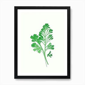 Cilantro (Coriander Leaf) Spices And Herbs Minimal Line Drawing 2 Art Print