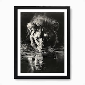 African Lion Charcoal Drawing Drinking From A Watering Hole 4 Art Print