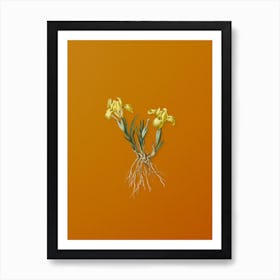 Vintage Sand Iris Botanical on Sunset Orange n.0598 Art Print
