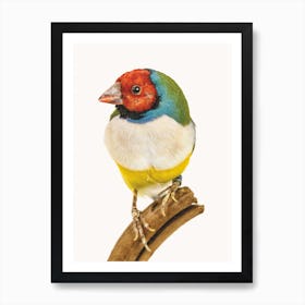 Birds VI Art Print