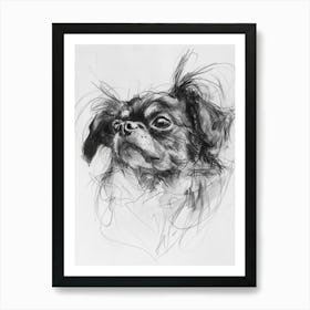 Tibetan Spaniel Dog Charcoal Line 2 Art Print