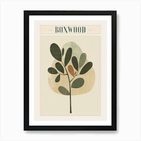 Boxwood Tree Minimal Japandi Illustration 4 Poster Art Print