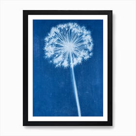 Blue Cyanotype Allium Print Art Print