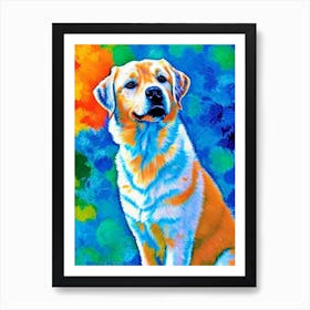 Finnish Spitz 3 Fauvist Style Dog Art Print