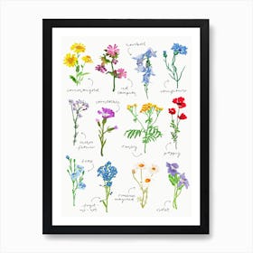 Wildflowers Art Print