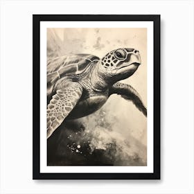 Sepia Sea Turtle Illustration Art Print