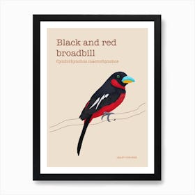 Black and red broadbill poster Art Print