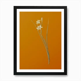 Vintage Gladiolus Botanical on Sunset Orange n.0402 Art Print