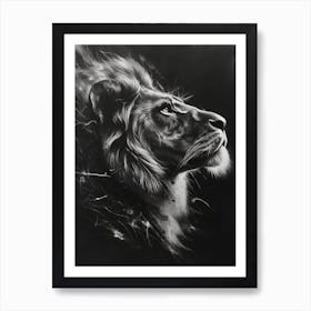 African Lion Charcoal Drawing Night Hunt 4 Art Print