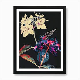 Neon Flowers On Black Hydrangea 2 Art Print