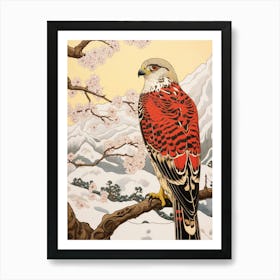 Bird Illustration Falcon 1 Art Print