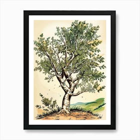 Alder Tree Storybook Illustration 2 Art Print