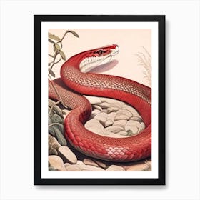 Dominican Red Mountain Boa Vintage Art Print