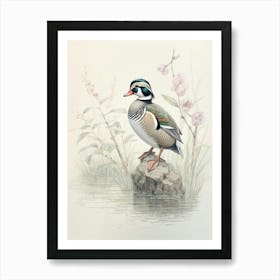 Vintage Bird Drawing Wood Duck 2 Art Print