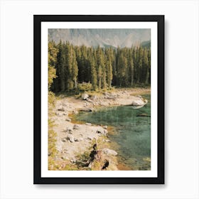 Forest Pond View Art Print