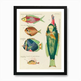 Colourful And Surreal Illustrations Of Fishes Found In Moluccas (Indonesia) And The East Indies, Louis Renard(28) Art Print