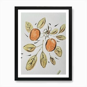 Oranges And Leaves Art Print