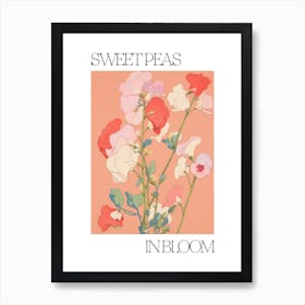 Sweet Peas In Bloom Flowers Bold Illustration 4 Art Print