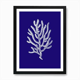 Coral On Blue Background 1 Art Print