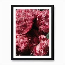 Flower Blossoms Art Print