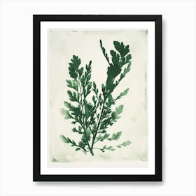 Green Ink Painting Of A Black Stem Spleenwort 4 Art Print