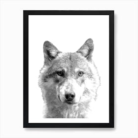 Black and White Wolf Illustration Art Print