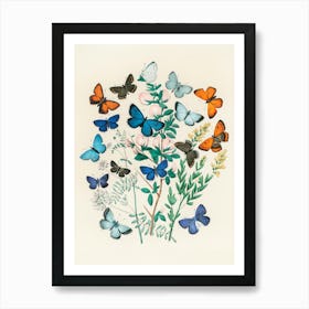 Butterflies On A Branch. Vintage Nursery Illustration, Kids Room Art Print