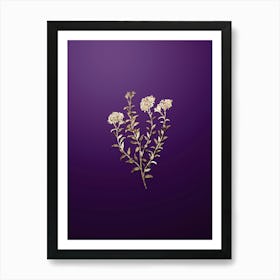 Gold Botanical Dr. Gills Selago Flower on Royal Purple n.2037 Art Print