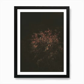 Illuminated Lone Tree on a Quiet Night in Hoxton, London Art Print