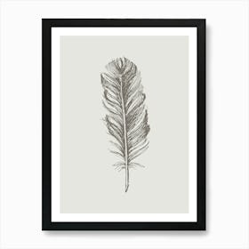 Grey Feather Print 1 Art Print