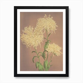 Beautiful Photomechanical Prints Of Three Yellow Chrysanthemums, Kazumasa Ogawa Art Print