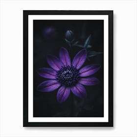 Purple Flower On Dark Background Art Print