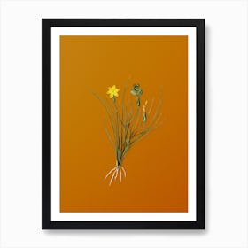 Vintage Golden Blue-eyed Grass Botanical on Sunset Orange n.0482 Art Print