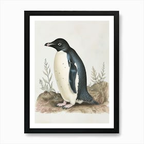 Adlie Penguin Bleaker Island Vintage Botanical Painting 2 Art Print