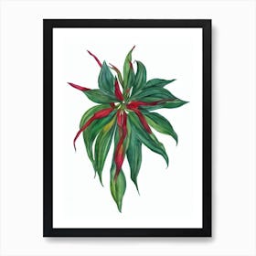 Red Spider Lily (Lycoris Radiata) Watercolor Art Print