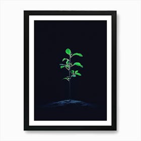 Tree In The Dark 37 Art Print