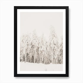 White Winter Woods Art Print