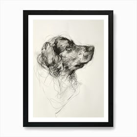Newfoundland Dog Charcoal Line 4 Art Print