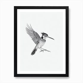 Roadrunner B&W Pencil Drawing 2 Bird Art Print