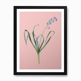 Vintage Dutch Hyacinth Botanical on Soft Pink n.0410 Art Print