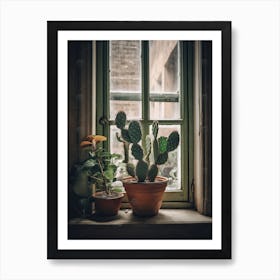 Prickle Pear Cactus Window 4 Art Print