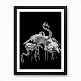 Flamingos Line Art Art Print