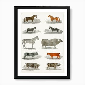 Collection Of Animals, Oliver Goldsmith Art Print