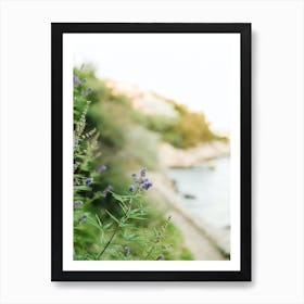 Purple Flowers By The Sea, Croatia Art Print