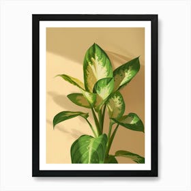 Dieffenbachia Plant Minimalist Illustration 5 Art Print