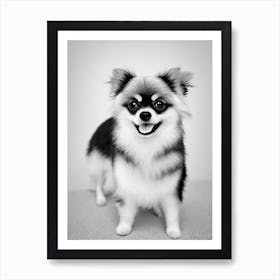 Pomeranian B&W Pencil Dog Art Print