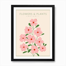 Soft Pink Flowers Botany Art Print