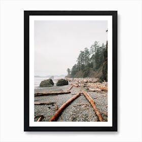 Driftwood On Beach Art Print