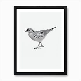 Pheasant B&W Pencil Drawing 1 Bird Art Print