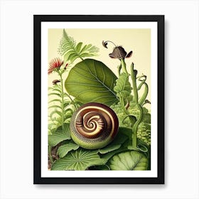 Brown Garden Snail Botanical Art Print